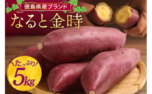 【大人気！】 さつまいも なると金時 5kg [天野 均典 徳島県 北島町 29bc0001] サツマイモ さつま芋 お芋 鳴門金時 焼き芋 甘藷 丸十