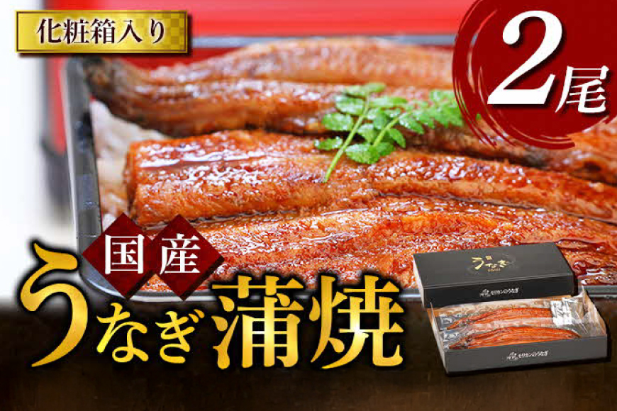うなぎ 国産 うなぎ蒲焼き 2尾 [モリカン 徳島県 北島町 29bh0001] ウナギ 鰻 unagi うなぎ蒲焼 真空パック 真空 パック 冷蔵