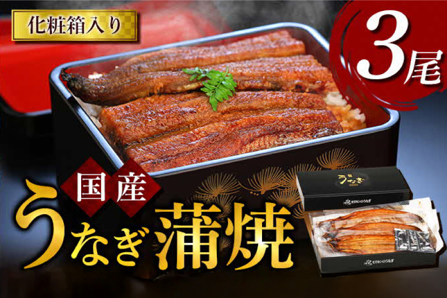 うなぎ 国産 うなぎ蒲焼き 3尾 [モリカン 徳島県 北島町 29bh0002] ウナギ 鰻 unagi うなぎ蒲焼 真空パック 真空 パック 冷蔵