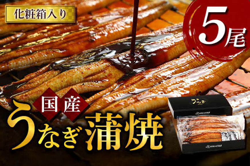 うなぎ 国産 うなぎ蒲焼き 5尾 [モリカン 徳島県 北島町 29bh0003] ウナギ 鰻 unagi うなぎ蒲焼 真空パック 真空 パック 冷蔵