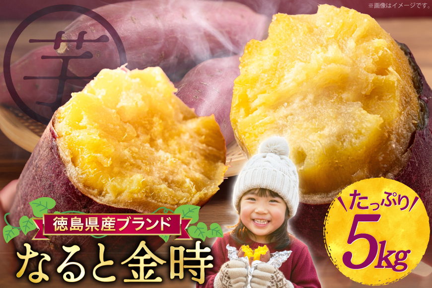 【大人気！】 さつまいも なると金時 5kg [北島町役場 徳島県 北島町 29bb0001] サツマイモ さつま芋 鳴門金時 ホクホク 焼き芋 天ぷら 大学芋 スイートポテト おやつ かんしょ