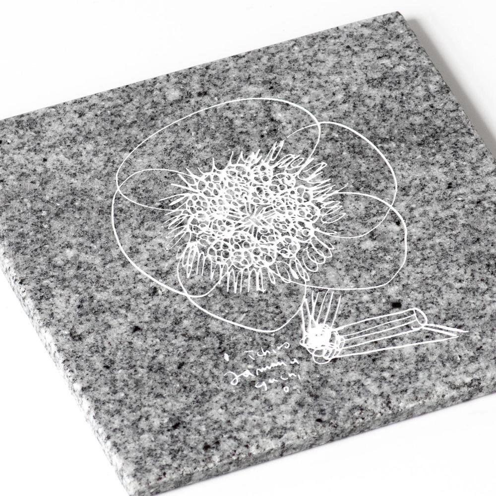 HANA / Ichiro Yamaguchi｜山口一郎氏イラスト刻印の庵治石プレート