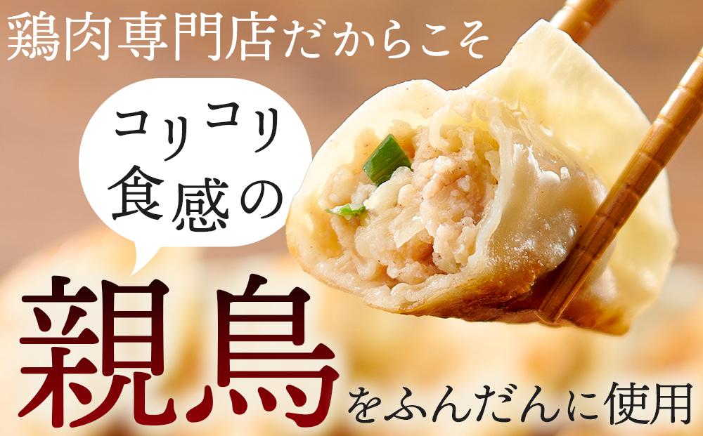 親どり専門店が作る親鳥餃子（50個×2セット）