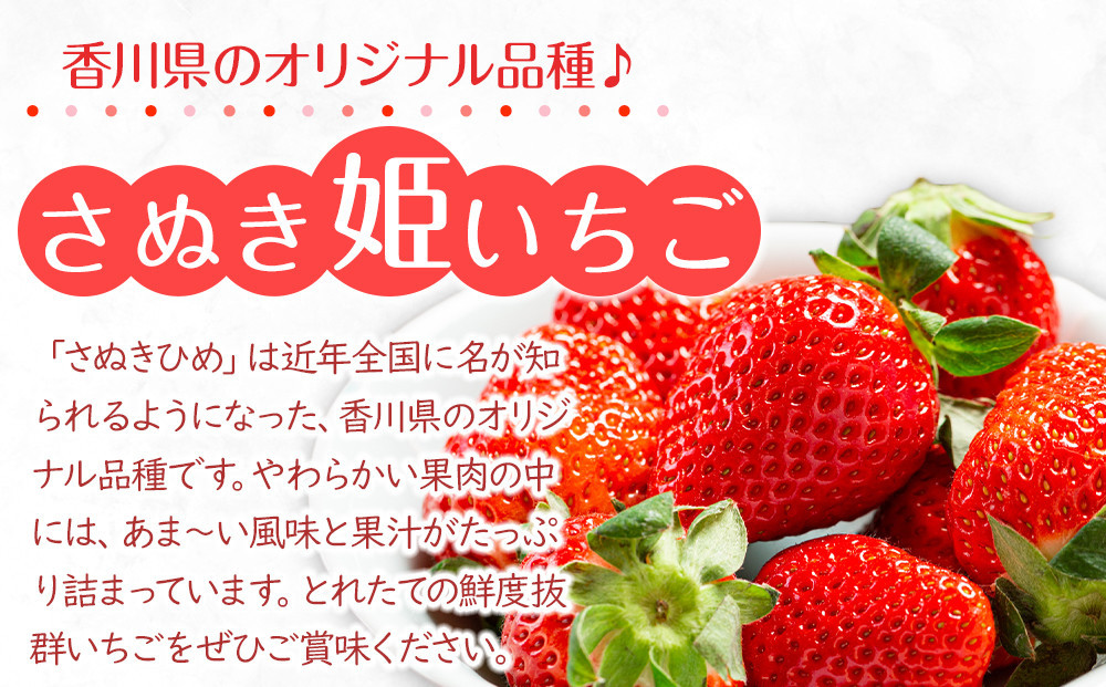【2026年1月中旬より順次発送】さぬき姫いちご　8パック(1パック約250g)｜果物 くだもの フルーツ イチゴ いちご 苺 さぬきひめ 先行予約 人気 おすすめ ギフト
