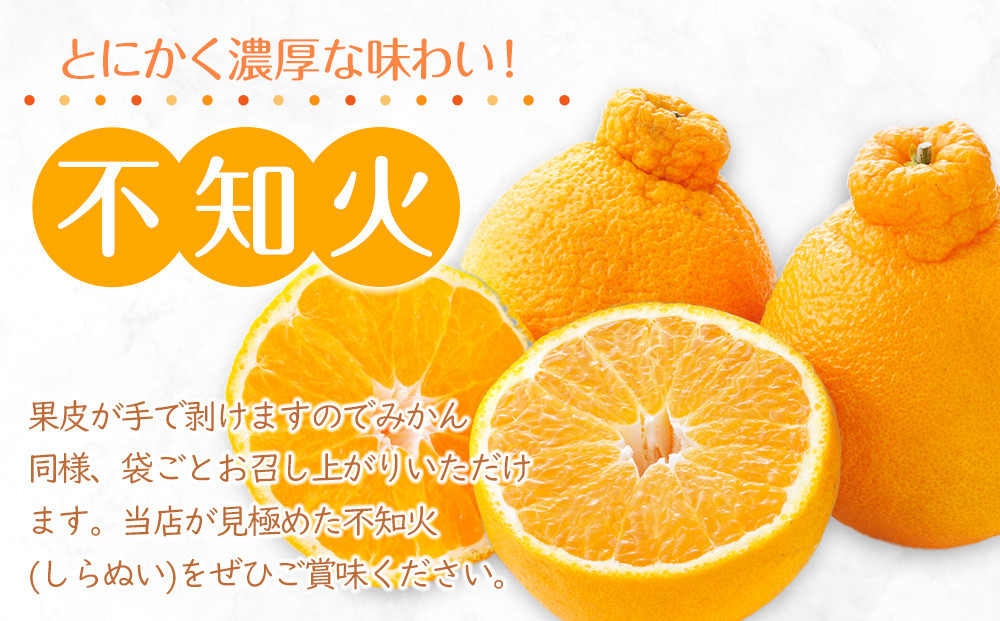 【2026年3月上旬より順次発送】厳選！濃厚甘味の「不知火(しらぬい)」約3kg｜果物 くだもの フルーツ 柑橘 みかん 不知火  濃厚 甘い ミカン 人気 おすすめ 先行予約 香川 高松