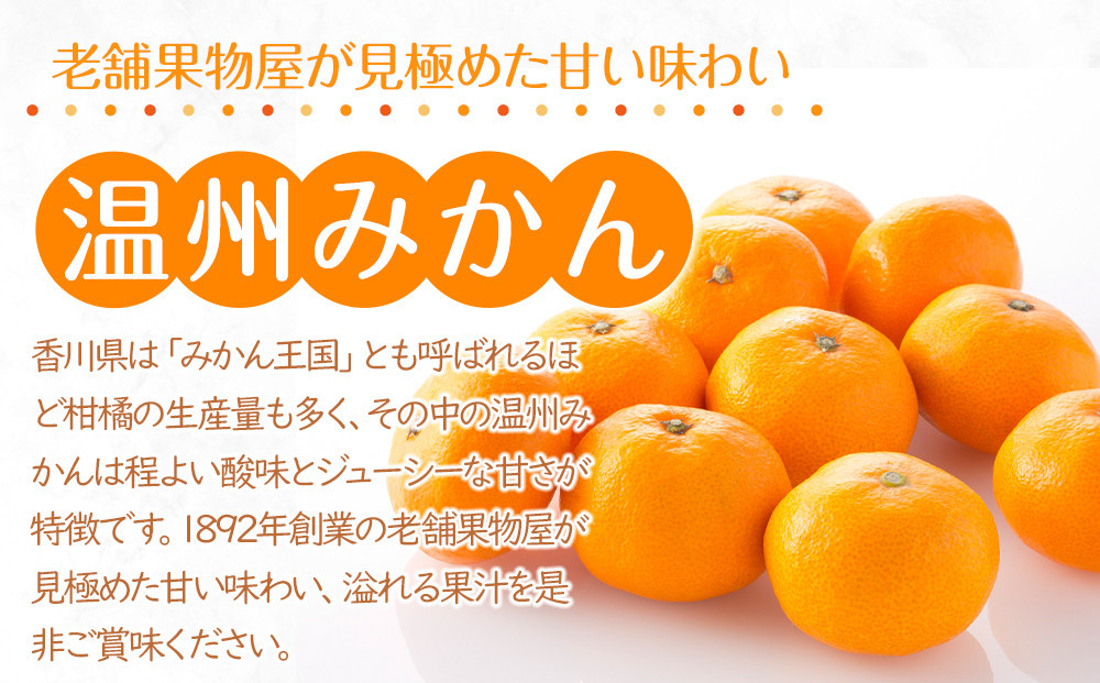 【2025年11月上旬より順次発送】極撰！温州みかん　約10kg｜果物 くだもの フルーツ 柑橘 みかん 温州みかん 人気 おすすめ 先行予約 香川 高松