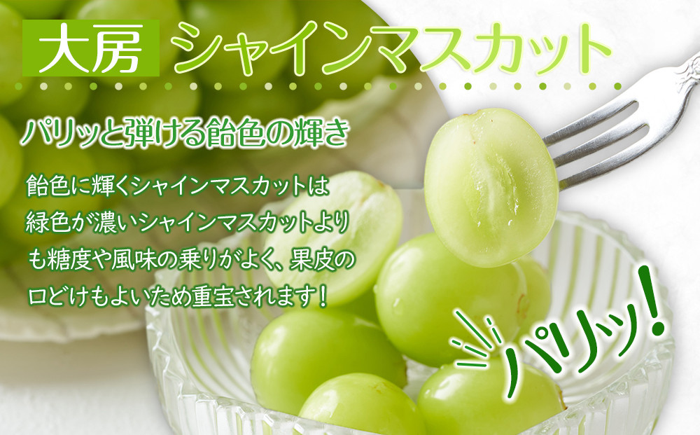 【2025年8月中旬より順次発送】大房シャインマスカット＆ 大房ニューピオーネ　各1房(各約600g)