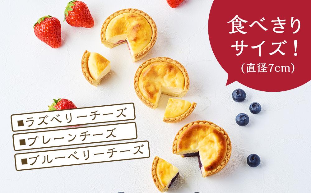 かにわしタルト店の食べ方選べる魔法のチーズタルト4個入り