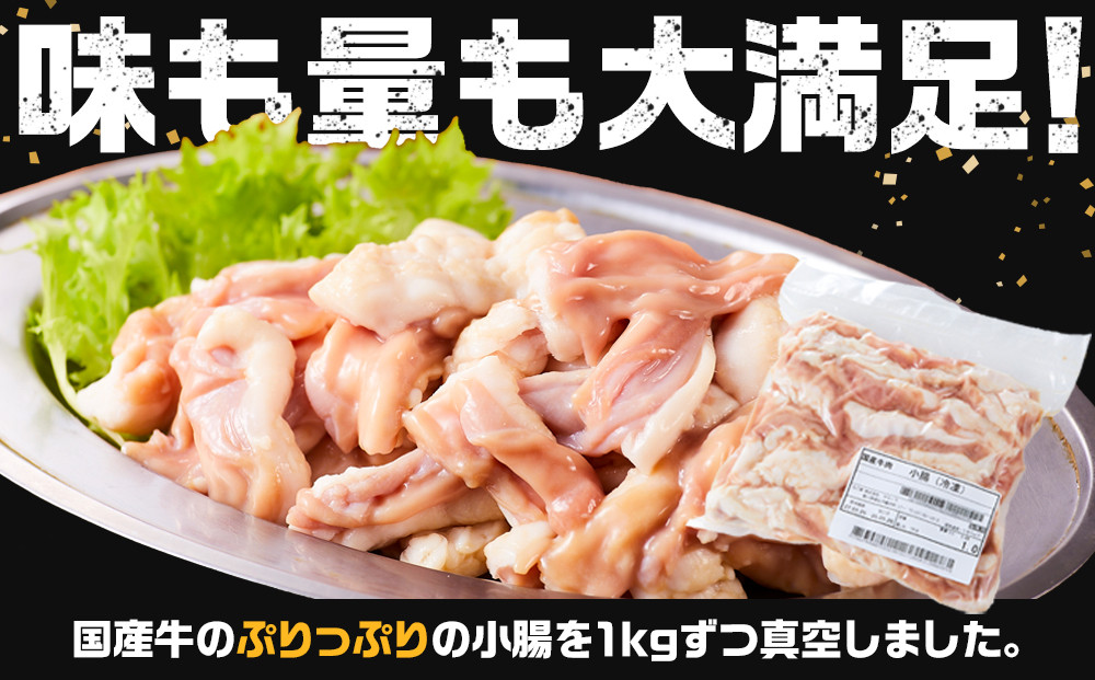 《業務用・訳アリ》国産牛　小腸　1kg