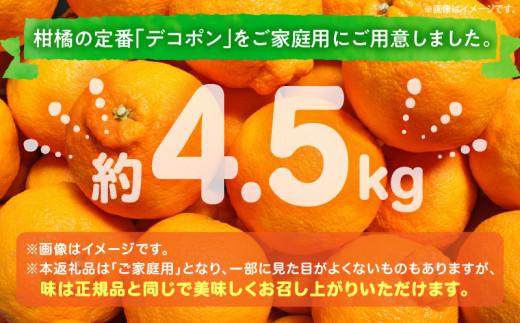 高松産季節の果物＜ご家庭用　デコポン＞約4.5kg【2026年2月下旬～2026年4月上旬配送】