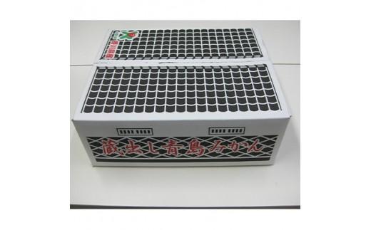 高松産季節の果物＜蔵出しみかん＞約4.6kg×2箱【2026年1月下旬～2026年3月下旬配送】