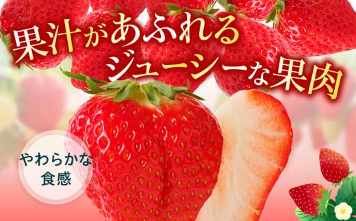 訳あり ご家庭用 さぬきひめいちご(約250g×8パック)【2026年2月上旬～2026年5月中旬配送】