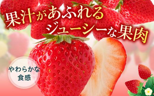 ケーキ用 さぬきひめいちご 4トレー(各約280g)【2026年1月上旬～2026年4月下旬配送】