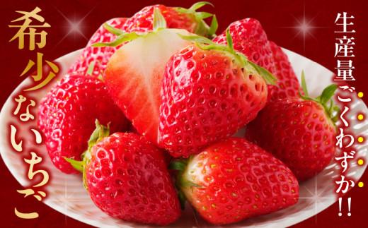 希少ないちご ケーキ用 女峰いちご 約2.2kg【2026年1月上旬～2026年5月下旬配送】