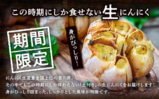 土付きにんにく 約5kg【2026-5月上旬～2026-6月中旬配送】