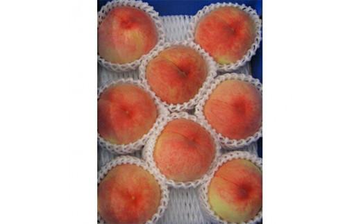 香川の桃 化粧箱　約1.8kg【2026-6月中旬～2026-8月上旬配送】