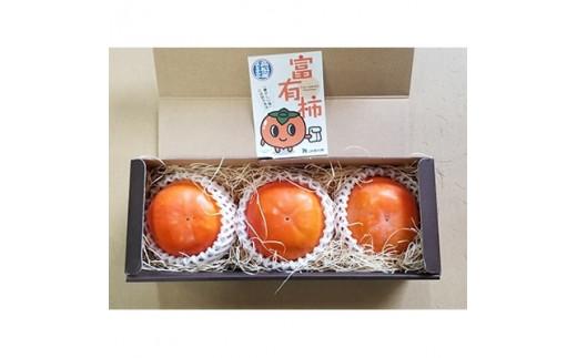 厳選大玉 富有柿 化粧箱 約800g【2025-10月下旬～2025-12月中旬配送】