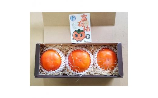 厳選大玉 完熟 富有柿 化粧箱 約800g【2025-10月下旬～2025-12月中旬配送】