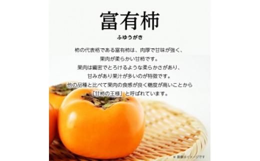 訳あり　富有柿　約7kg【2026年10月下旬～2026年12月中旬配送】
