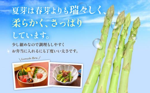 さぬきのめざめ 夏芽 約700g アスパラガス【2026-6月上旬～2026-11月上旬配送】