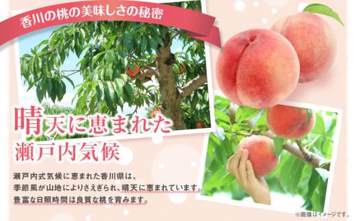 香川の桃パック　約2.2kg【2026-6月中旬～2026-8月上旬配送】