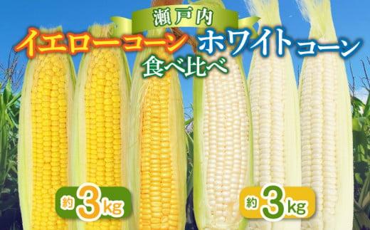 瀬戸内ホワイトコーン・イエローコーン食べ比べ 各約3kg【2026-6月中旬～2026-7月中旬配送】