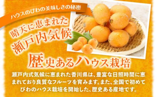 ハウスびわ化粧箱 約500g【2026-4月中旬～2026-5月上旬配送】