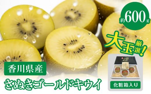 さぬきゴールドキウイ化粧箱(大玉)　約600g【2025-10月中旬～2026-1月下旬配送】