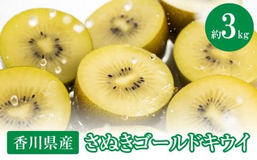 さぬきゴールドキウイ　約3kg【2025-10月中旬～2026-1月下旬配送】