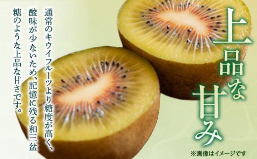 厳選大玉 さぬきエンジェルスイート 化粧箱 約1kg【2025年11月中旬～2026年2月上旬配送】