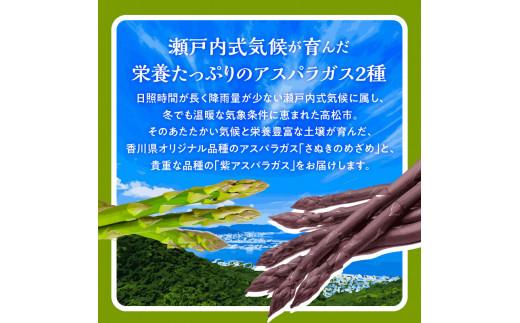 アスパラガス 食べ比べ ( 紫 アスパラガス 500g と さぬきのめざめ 500g ) 約1kg 【2026-6月上旬～2026-10月中旬配送】