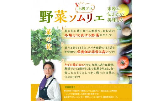 旬の野菜 菜の花 (袋入り) 約2kg【2025-12月上旬～2026-3月下旬配送】