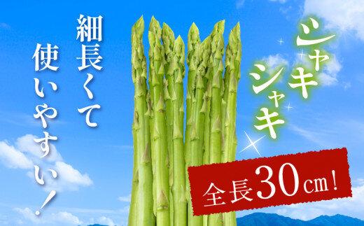柔らかさと甘みが際立つ さぬきのめざめセミロング30cm(Mサイズ) 約1.3kg【2026-3月上旬～2026-6月下旬配送】