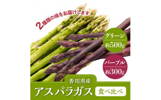 グリーン(約500g)・パープル(約300g)アスパラガス食べ比べセット【2026-3月上旬～2026-9月下旬配送】
