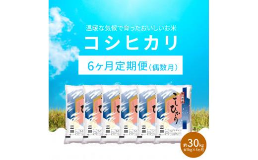 【6ヶ月定期便】計約30kg 偶数月 おいしいコシヒカリ約5kg