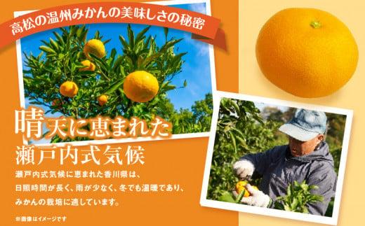 【先行予約】瀬戸内温州みかん　M～3Sサイズ　約2.5kg【2026年10月上旬～2027年1月下旬配送予定】