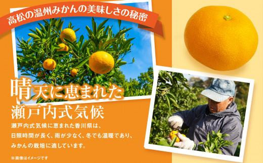 瀬戸内温州みかん（2L～Mサイズ混合）約5kg【2026年10月中旬～2027年1月下旬配送】