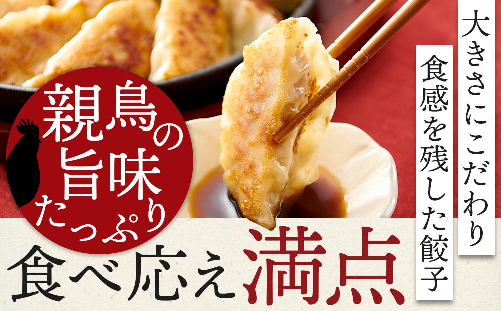 親どり専門店が作る親鳥餃子（8個×3パック）