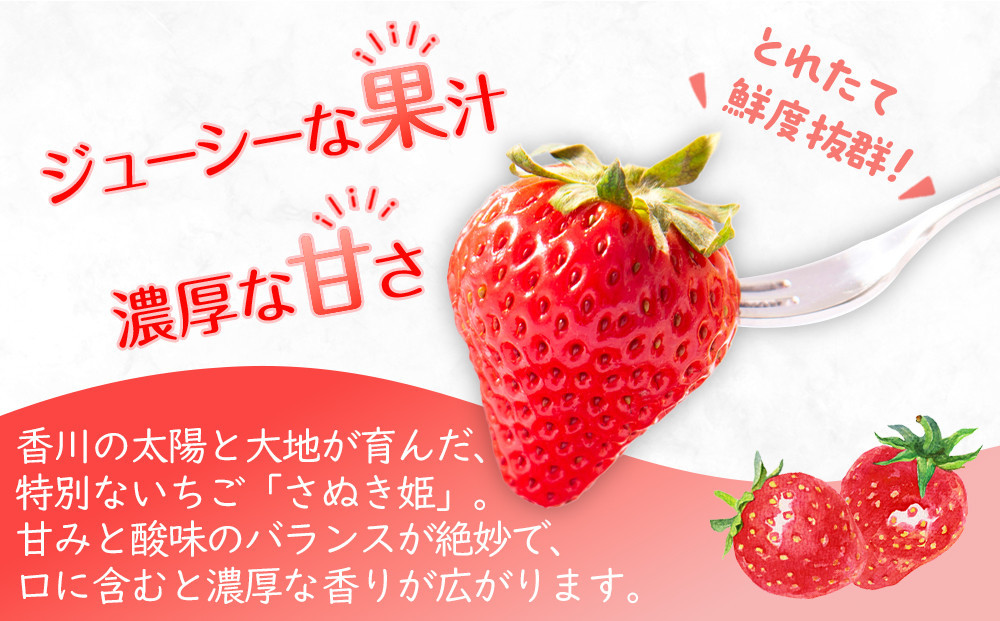 【2026年1月中旬より順次発送】さぬき姫いちご　8パック(1パック約250g)｜果物 くだもの フルーツ イチゴ いちご 苺 さぬきひめ 先行予約 人気 おすすめ ギフト