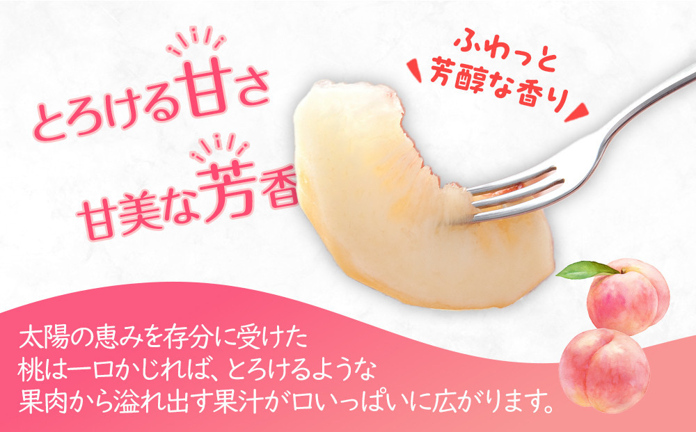 【2025年6月下旬より順次発送】特秀品！絶品「桃」約2kg(6～8玉)