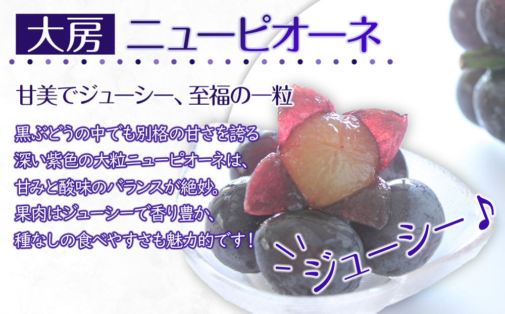 【2025年8月中旬より順次発送】大房シャインマスカット＆ 大房ニューピオーネ　各1房(各約600g)