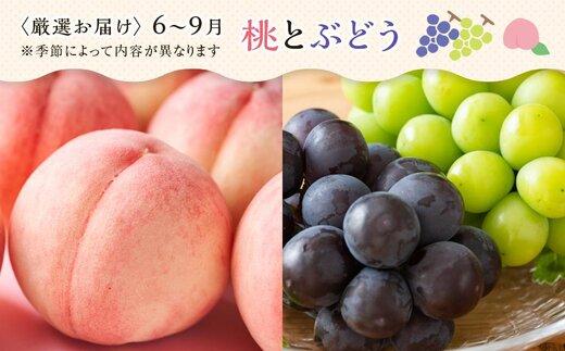 創業130余年！老舗果物店が見極めた、厳選フルーツ詰合せ♪大満足セット （5～8品種）｜果物 くだもの フルーツ 詰め合わせ 桃 モモ もも 柑橘 みかん ミカン いちご 苺 キウイ 柿 ぶどう 葡萄 人気 おすすめ 香川 高松