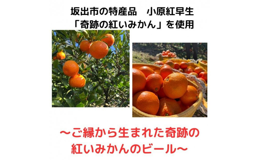 香川県産クラフトビール「Quad K Beer」 kokou 計6本