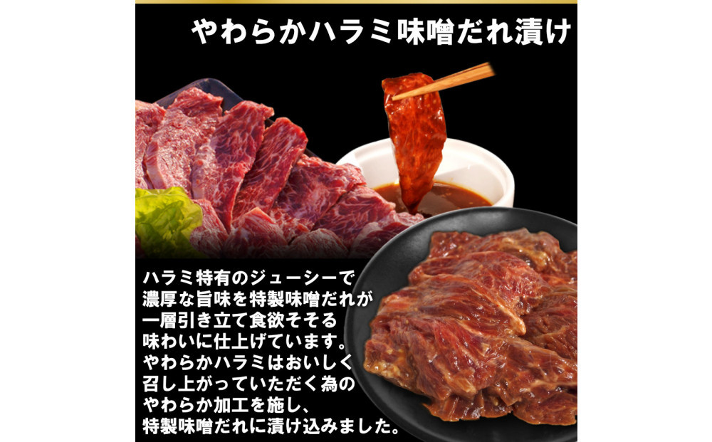 焼肉3種盛りセット(ハラミ・カルビ・マルチョウ)4.8kg