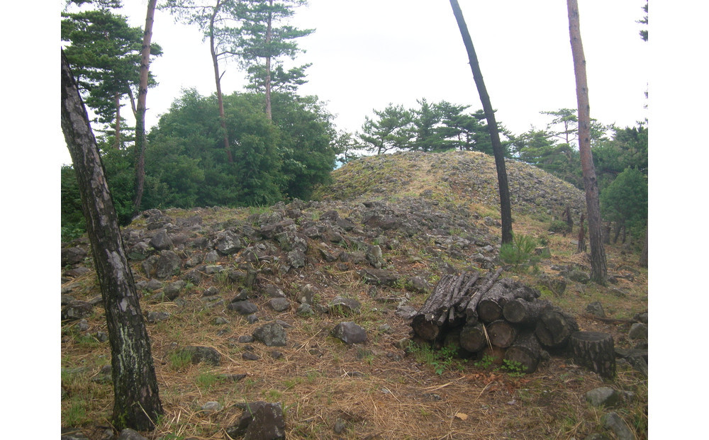 文化財専門員と行く！石清尾山古墳群（峰山地区）ガイド見学ツアー