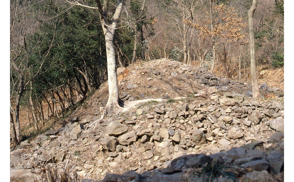 文化財専門員と行く！屋嶋城（浦生地区）ガイド見学ツアー
