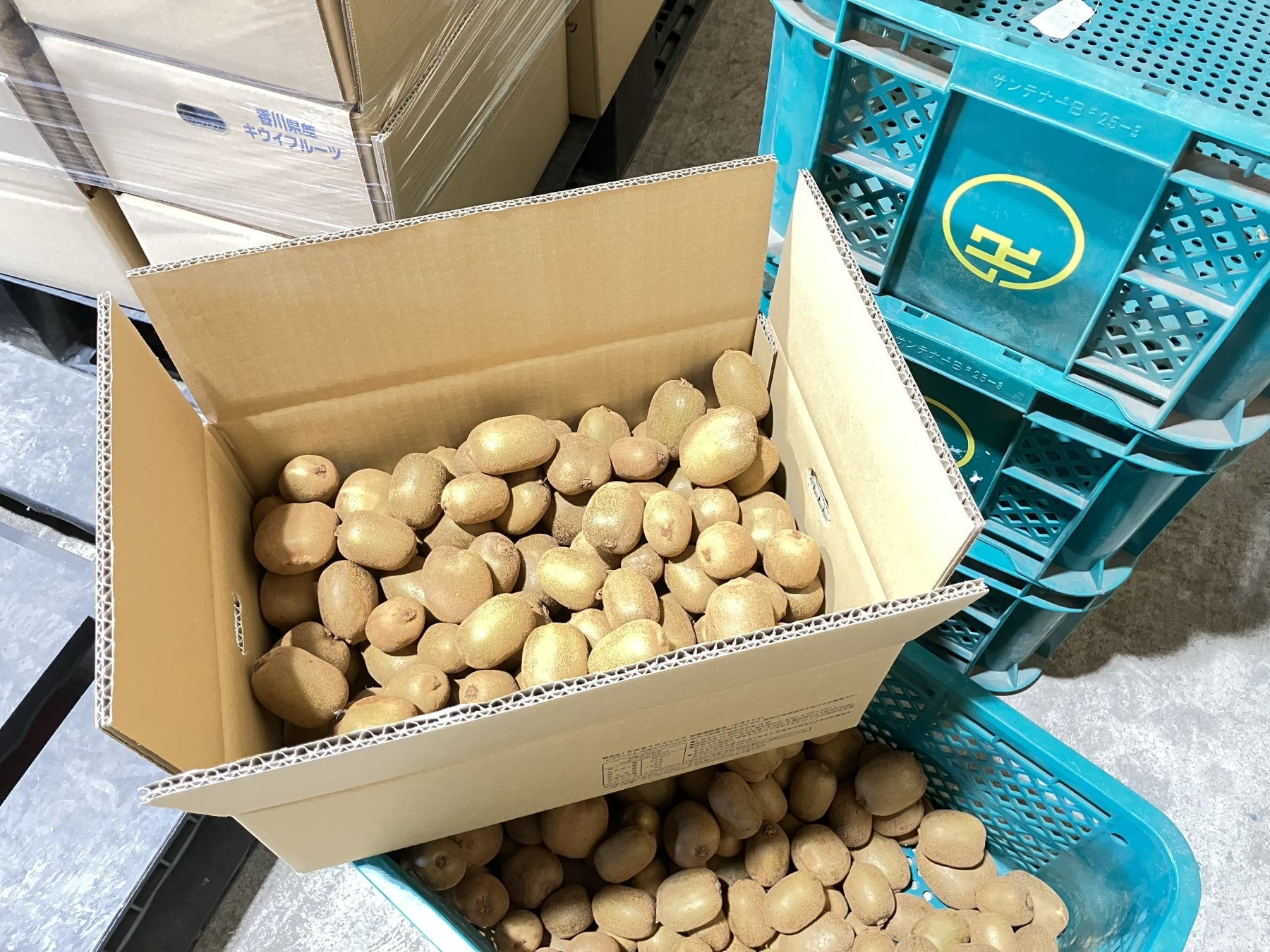 さぬきキウイっこ　約2kg