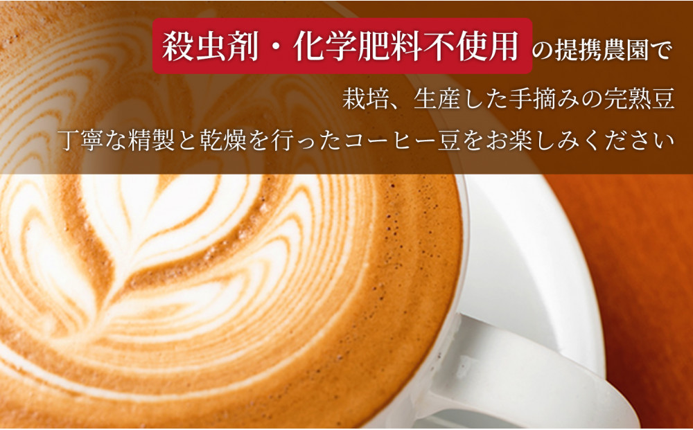 【定期便全2回】 バリ島極深煎り 200グラム×5袋 1セット コーヒー豆 珈琲豆 深煎り焙煎 コーヒー 珈琲 ドリップコーヒー スペシャルティコーヒー バリ島産 バリ島コーヒー豆  家カフェ 香川県 高松市