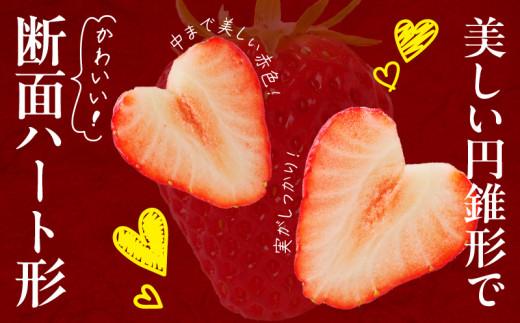 高松産季節の果物＜希少品種　女峰いちご＞約250g×8パック入り【2026年1月中旬～2026年6月中旬配送】