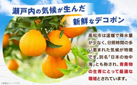 高松産季節の果物＜ご家庭用　デコポン＞約4.5kg【2026年2月下旬～2026年4月上旬配送】